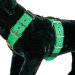 Emerald color dog harness by extreme dog gear