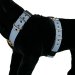 Custom dog harness 1.6 inch Pastel Blue by extreme dog gear