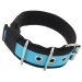 stripe dog collar turquoise 4cm