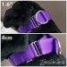 purple martingale collar medium breed