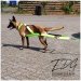 Weight Pull Harness apple green